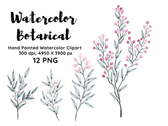 Download Watercolor Botanical Clipart PNG - Clipart Collection