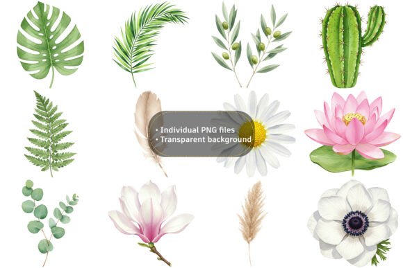Download Vibrant Watercolor Botanical Clipart - Clipart Collection