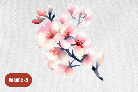 Download Cherry Blossom Pink Watercolor Clipart - Clipart Collection