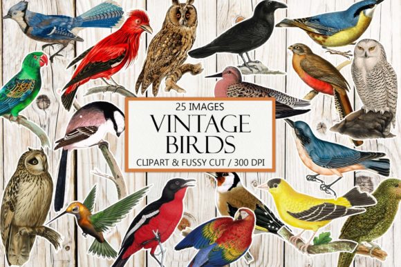 Download Vintage Birds Clipart and Fussy Cut - Clipart Collection