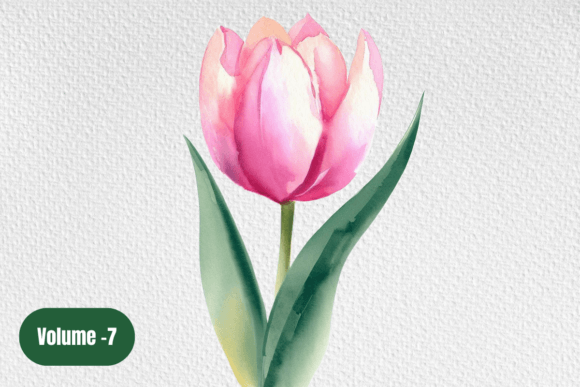 Download Watercolor Floral Clipart. Tulip Art - Clipart Collection