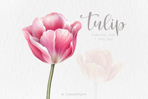 Download Tulip Clipart, Watercolor Flower Bundle - Clipart Collection
