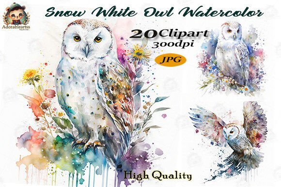 Download Snow White Owl Watercolor Clipart Set - Clipart Collection