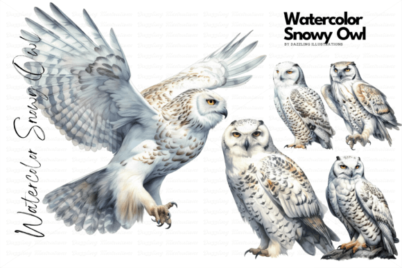 Download Watercolor Snowy Owl Set - Snowy owl Collection