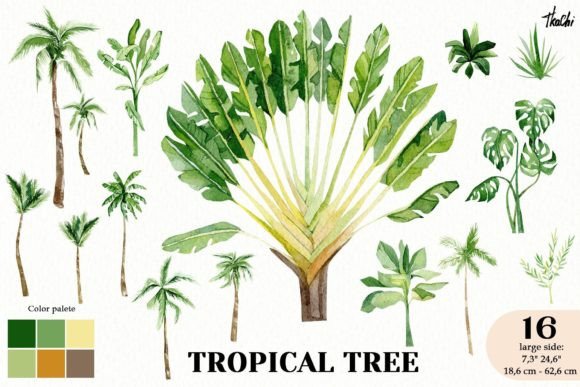 Download Watercolor Summer Tropical Tree Clipart - Clipart Collection