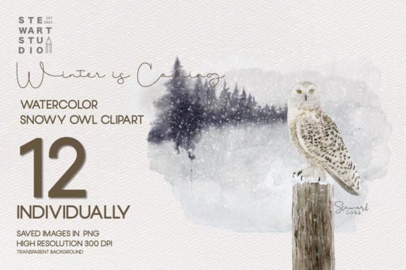 Download Watercolor Snowy Owls Clipart - Clipart Collection