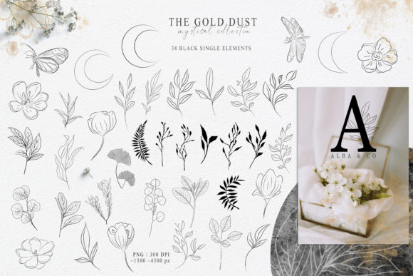 Download Botanical Line Art Clipart. Floral Set - Clipart Collection