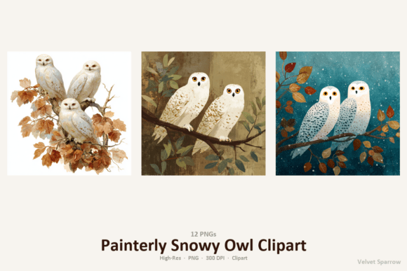 Download Painterly Snowy Owl Clipart - Clipart Collection
