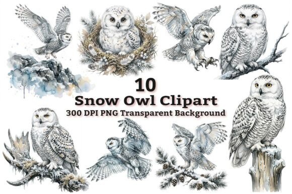 Download Majestic Snowy Owl Clipart Bundle PNG - Clipart Collection