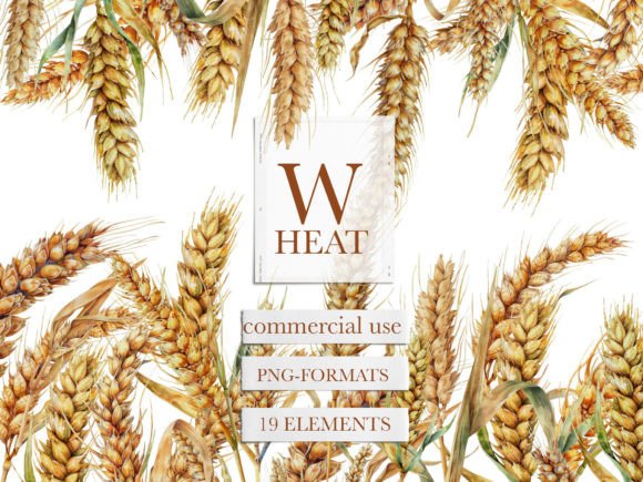 Download Wheat Watercolor Clipart, Wheat Clipart - Clipart Collection