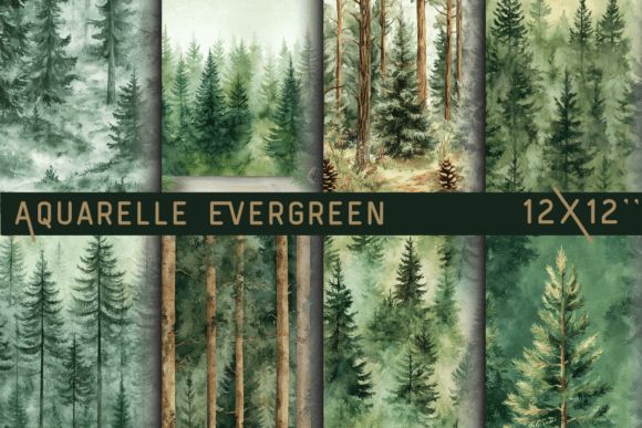Download Aquarelle Evergreen Woodland Panorama - Panorama Collection