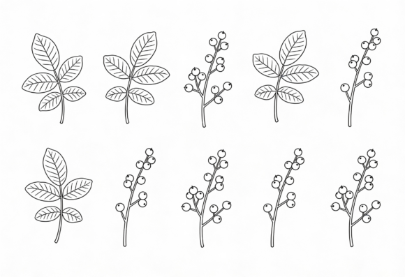 Download Botanical Line Art Clipart Leaves and - Clipart Collection