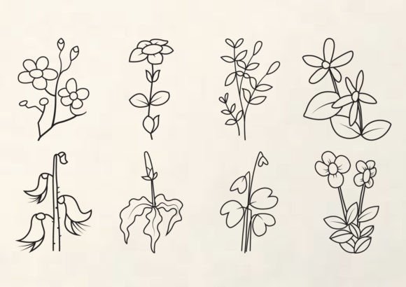 Download Botanical Line Art Clipart - Clipart Collection