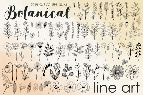 Download Botanical Line Art Clipart - Clipart Collection